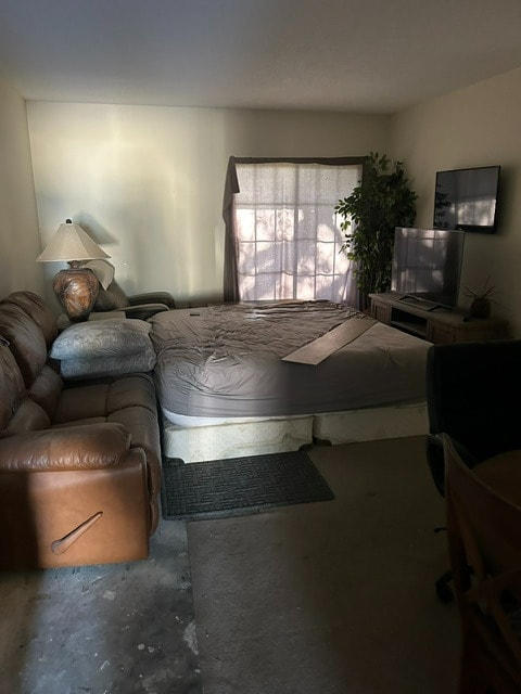 Before — property cleanout