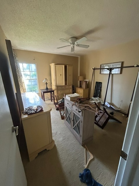 Before — property cleanout